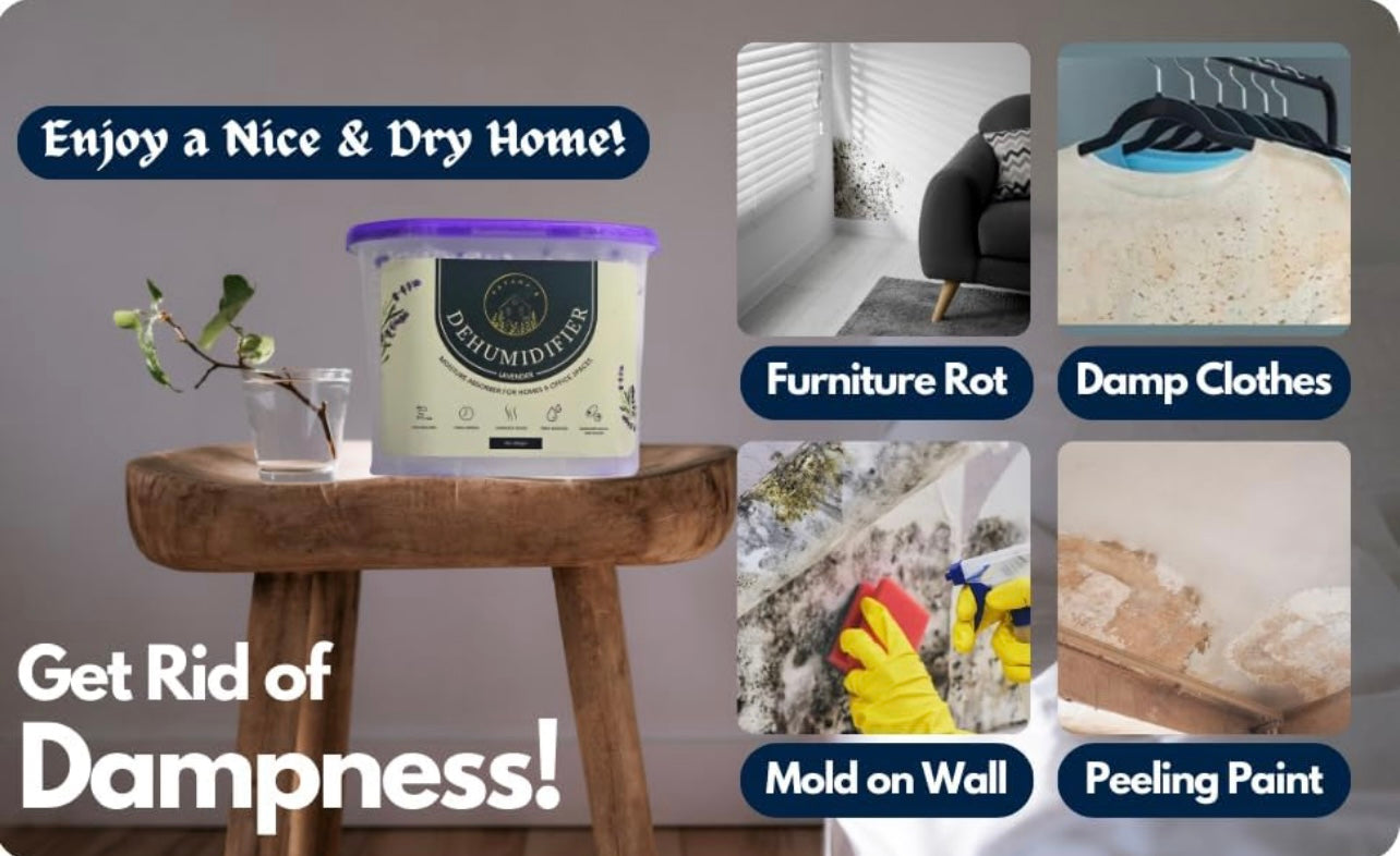 Fataha's Lavender Dehumidifier - 600ML- Effective Dampness Control, Mold Prevention, Odor control, Abrorbs Moisture - Ideal for Kitchen Bathrooms, Bedrooms, Closet, Long-Lasting Freshness! (Pack of 10)